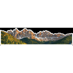 Black background to help viewing all details.